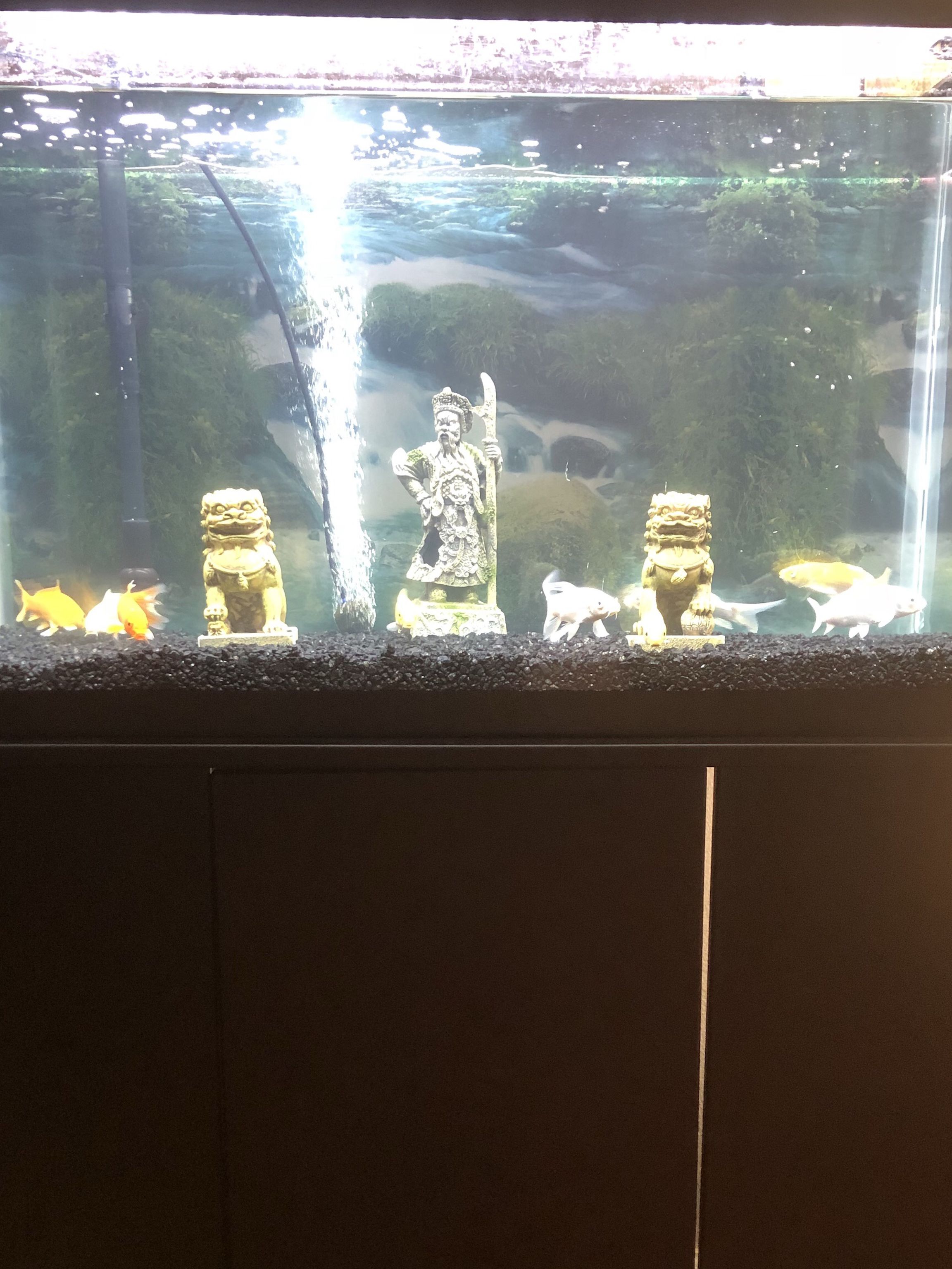 30 Gallon Fish Tank With Stand Full Set Up Ready To Use