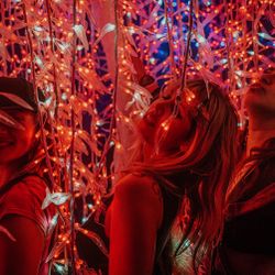 VIP 3day WESTCOAST WEEKENDER🎉