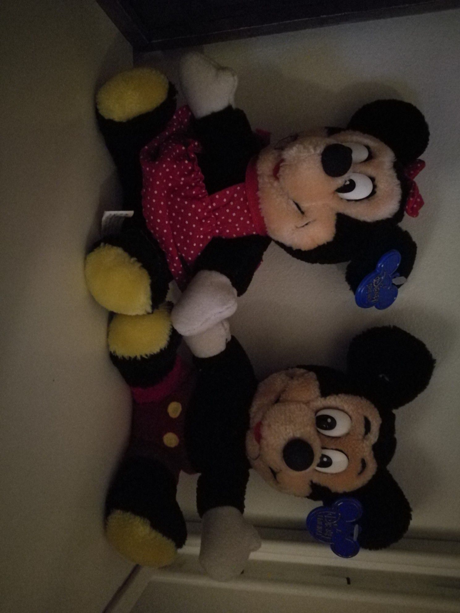 Mini and Mickey