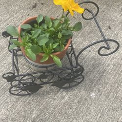 Flower Arrangement Perfect For An Inexpensive Gift 