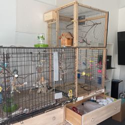 Large Custom Bird Cage