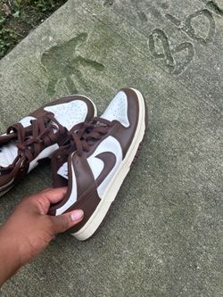 Nike Brown sb dunks