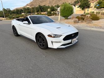 2019 Ford Mustang