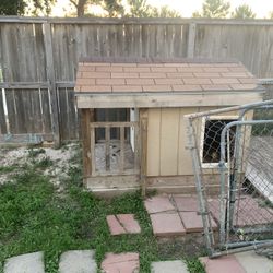 Dog House 