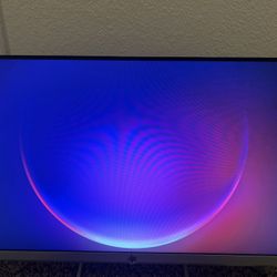 HP Monitor 
