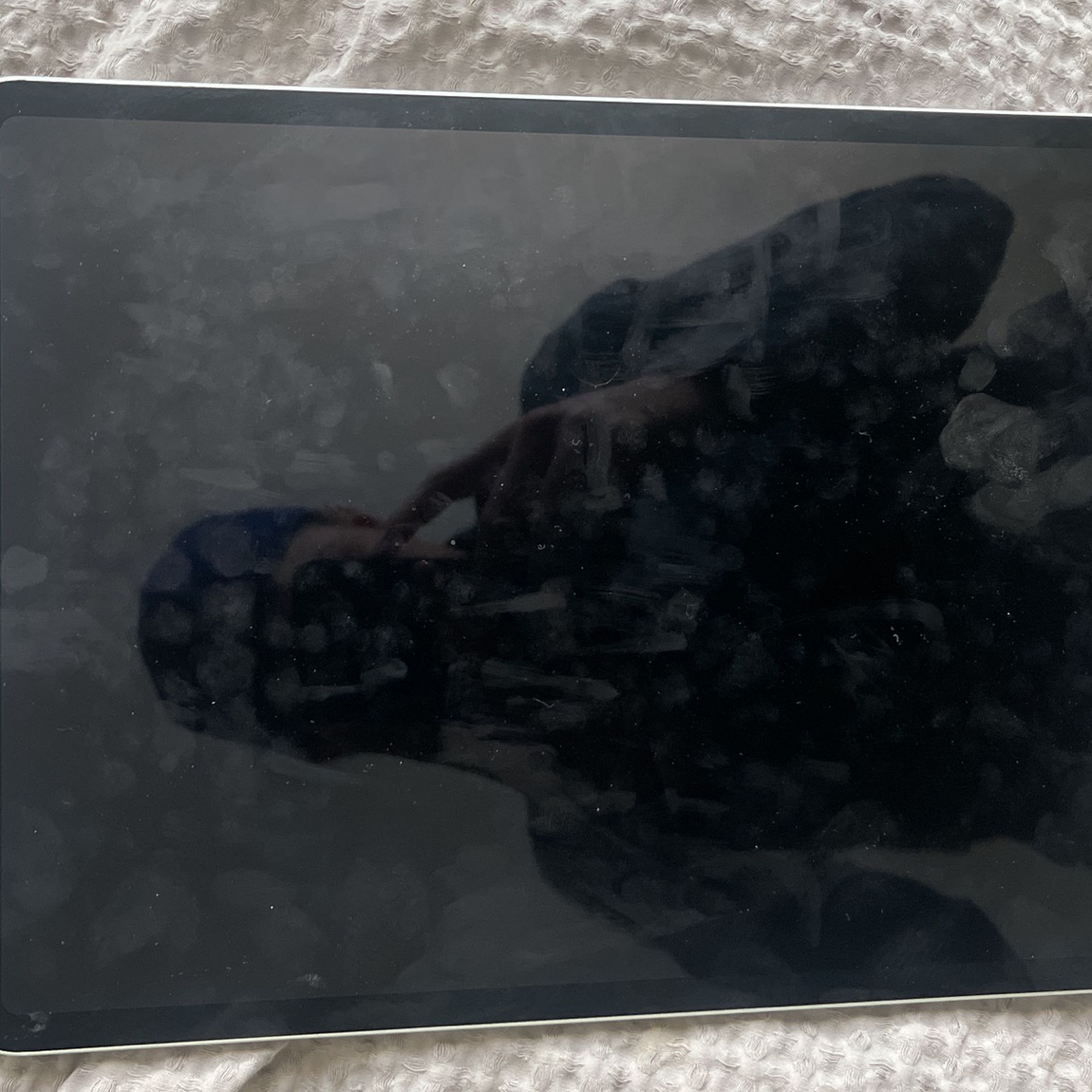 iPad Pro 128G 12.9” Brand New $800