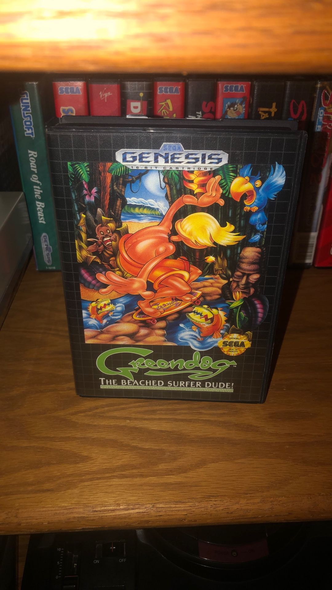 Greendog Sega Game