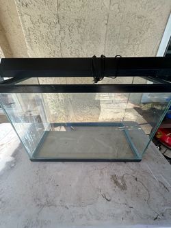 Fish tank