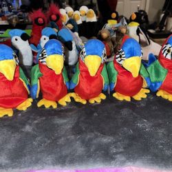 Parrot 