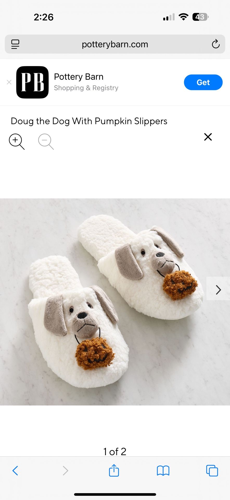 Doug the Dog With Pumpkin Slippers Size SMALL 