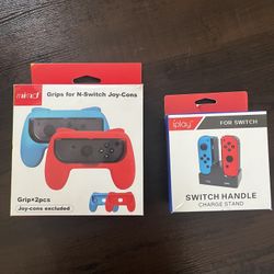 Nintendo Accessories 