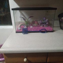Fish Tank (Girl Stuff Inside)