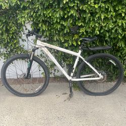 Diamond Back Overdrive 29”