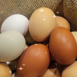 Farm Fresh Eggs For Easter