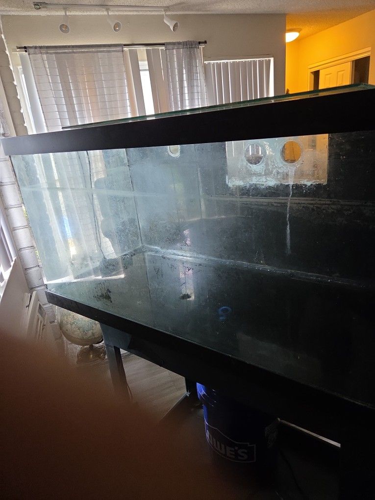 Free 75 Gallon Tank
