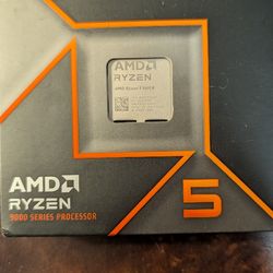 AMD Ryzen 5 9600x