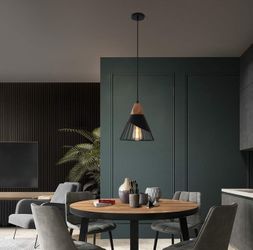 Modern Black Pendant Light