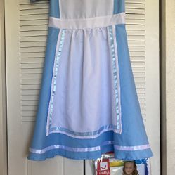 Alice In Wonderland Costume Girls Size Large