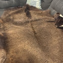 Buffalo Hide - New