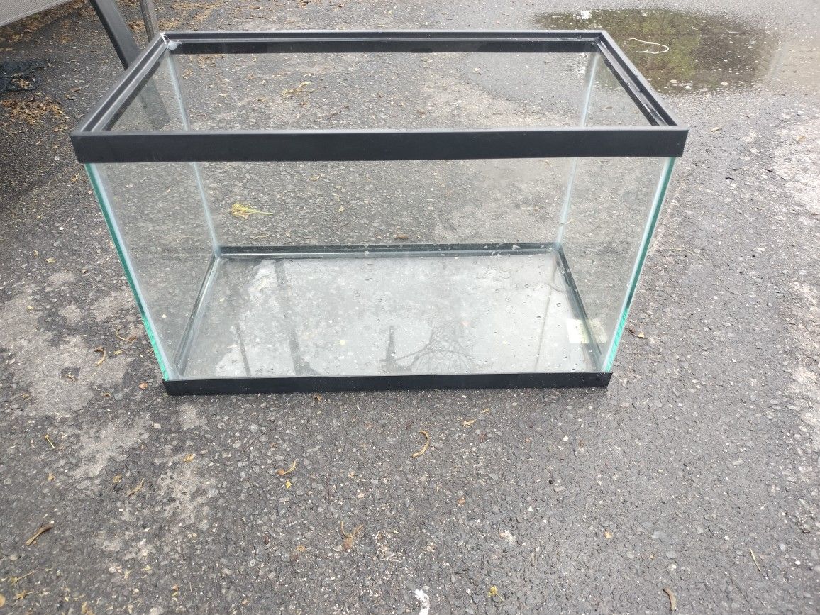 A 10 Gallon Fish Tank