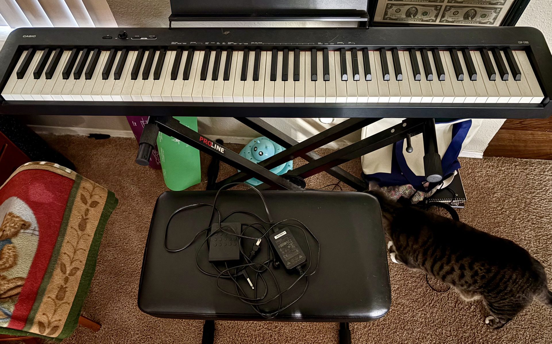 Casio CDP S100 Digital Piano