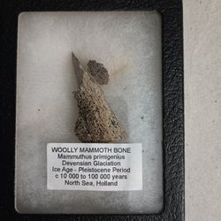 ***FALL SALE***FOSSILS ROCKS AND MINERALS 