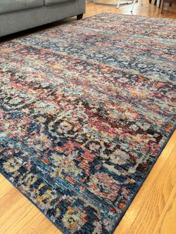 Multicolor Distressed Area Rug