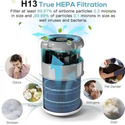 Air Purifiers for Home+2-Pack Replacement Filters for Air Purifier AP0601 (White)