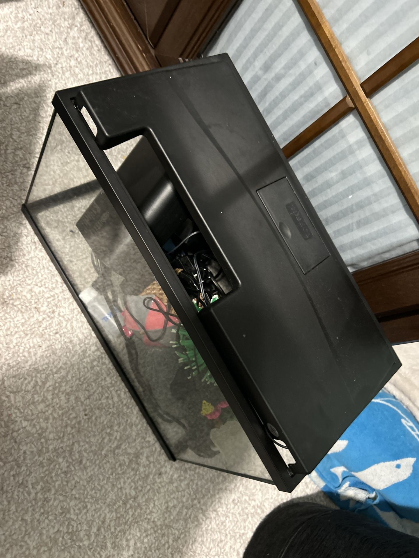 5 Gallon Fish Tank + Everything else you'll need