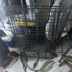 Dog Kennels 
