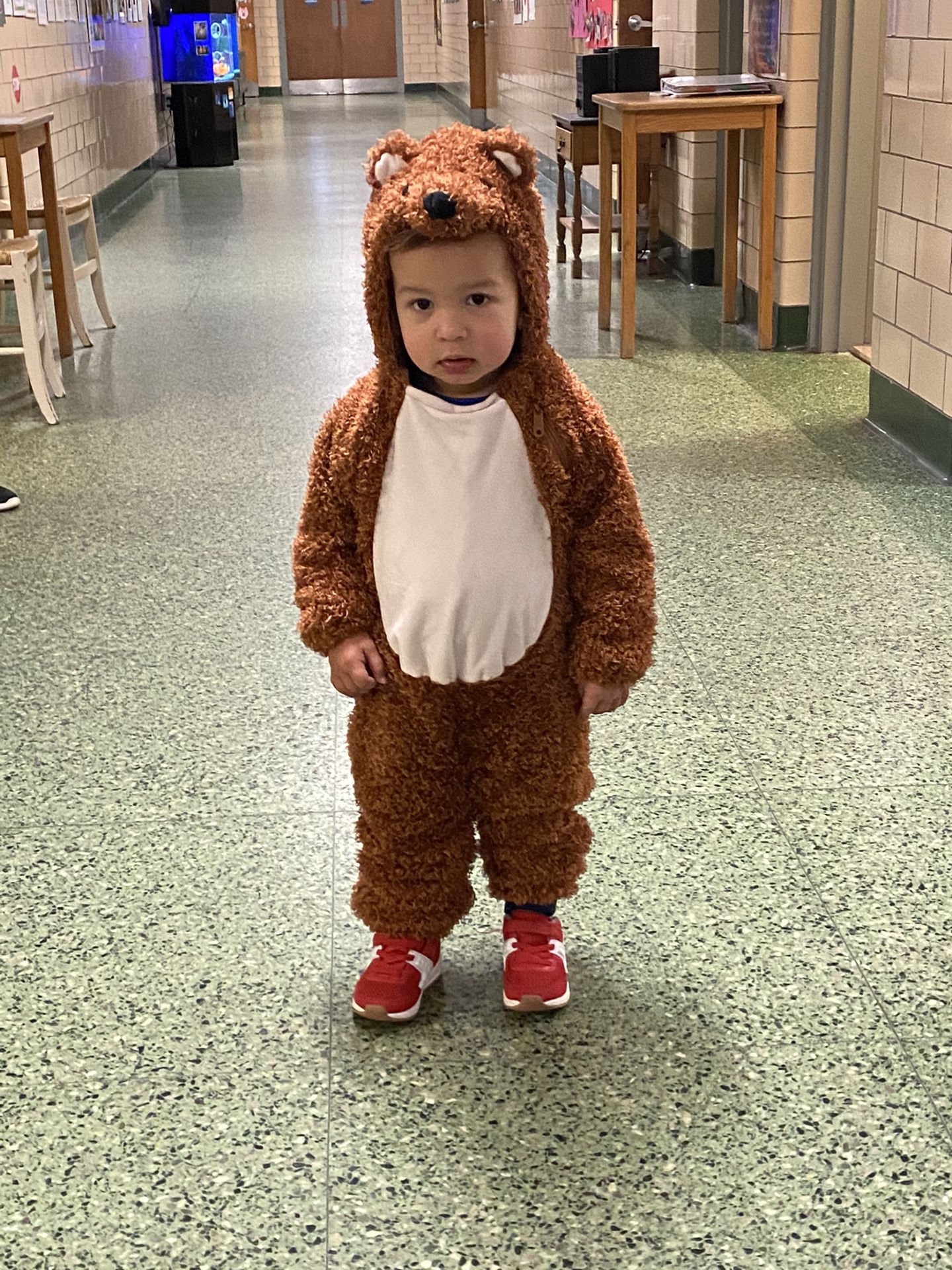 Free toddler bear costume