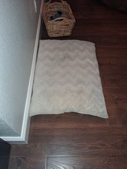 Dog Bed 