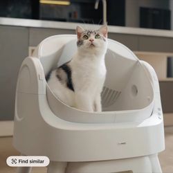Automatic Cat Litter In Box! NEW!