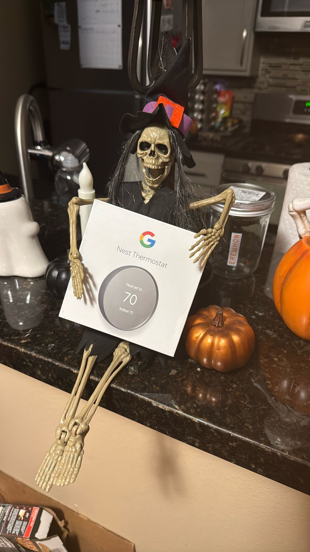 Google Nest Thermostat (New)