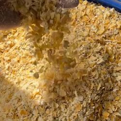 Poultry & Farm Animals Fresh Steam Rolled Feed