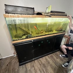 Fish Tank With Stand