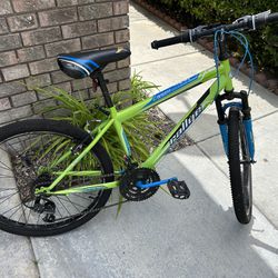 Mountain bike (Youth)