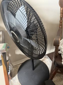 Standing Fan