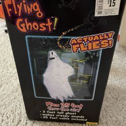 Halloween Flying / Noisy Ghost!