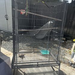 Parrot ,Birds Cage