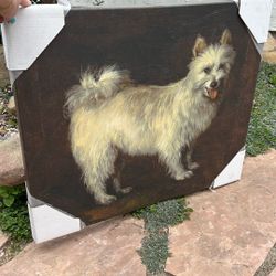 Dog Picture 