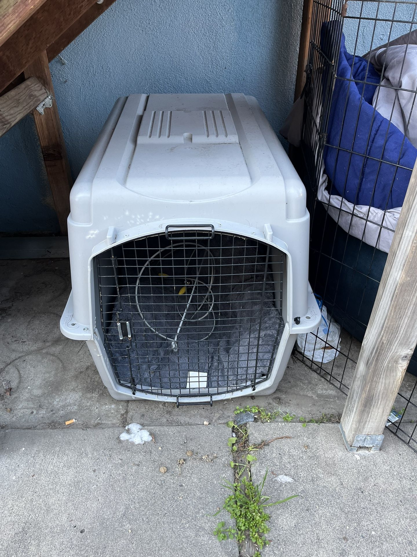 Xl Dog Crate