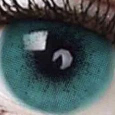 Color Contacts Lenses $5