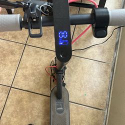 Electric Scooters 