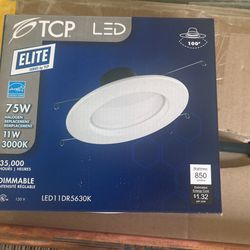 LED Lights