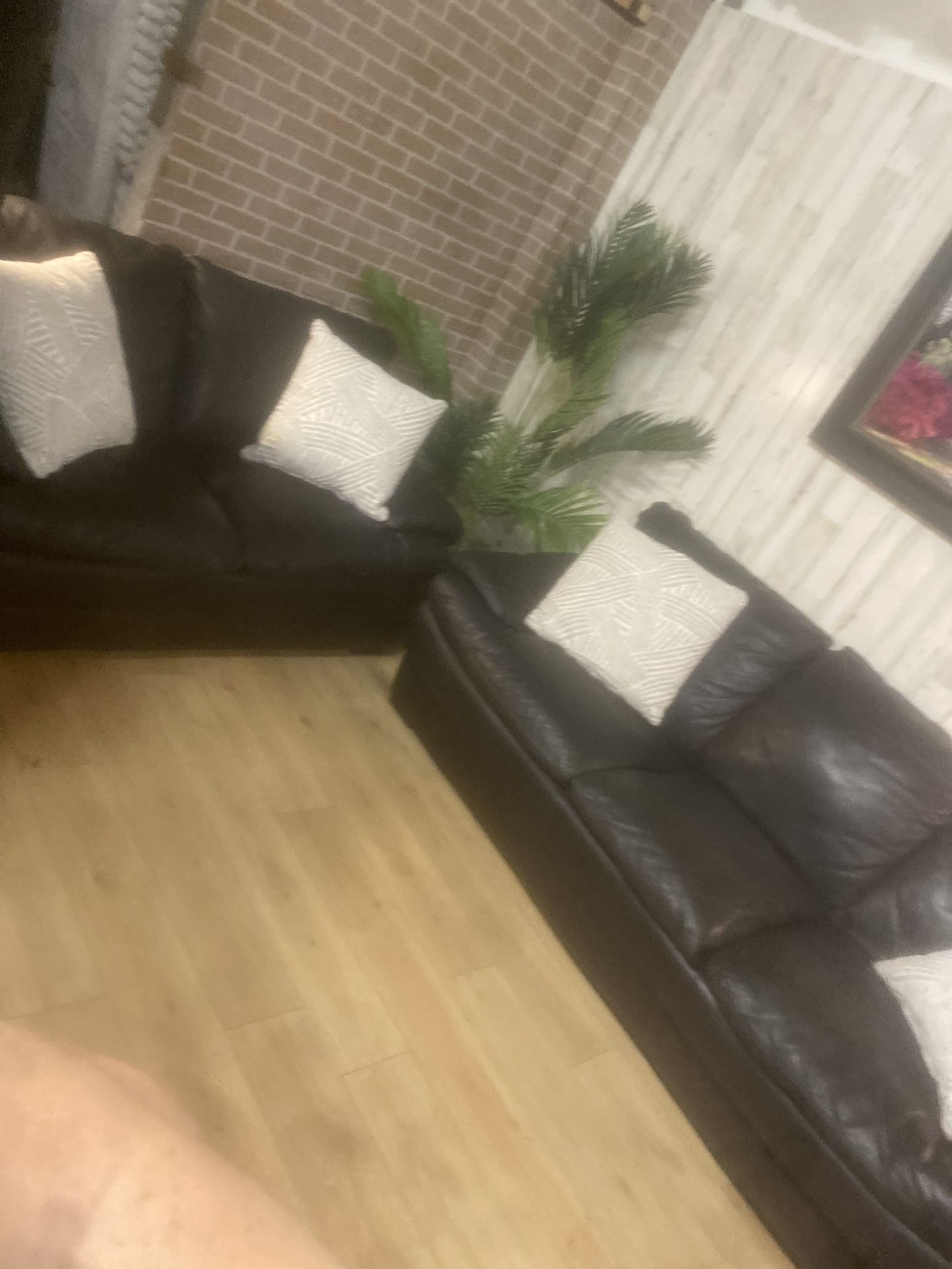 Natuzzi leather Set Free Delivery