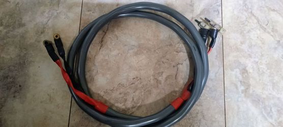 Wireworld equinox 6 speaker wire