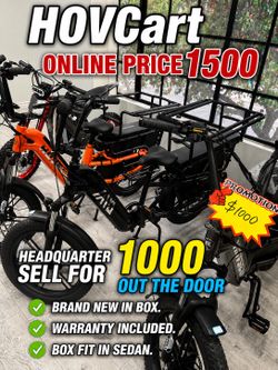 HOVSCO cargo e-bike great family electric bike