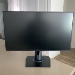 Computer Monitor 
