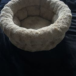 Cat Bed